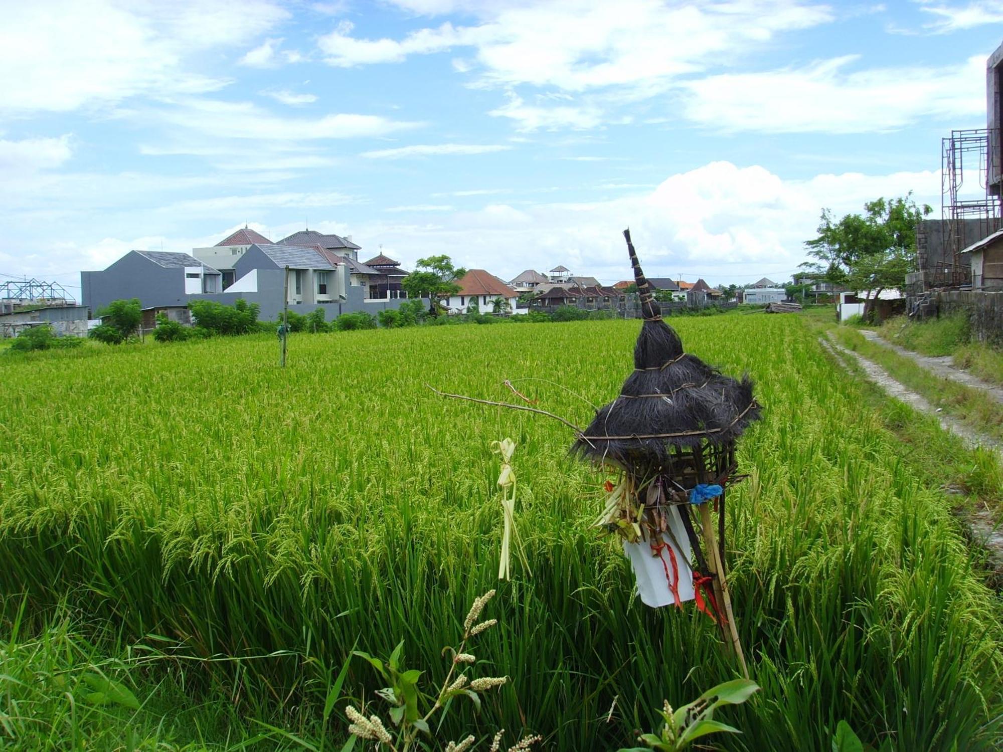 Jonsen Homestay Canggu Eksteriør billede