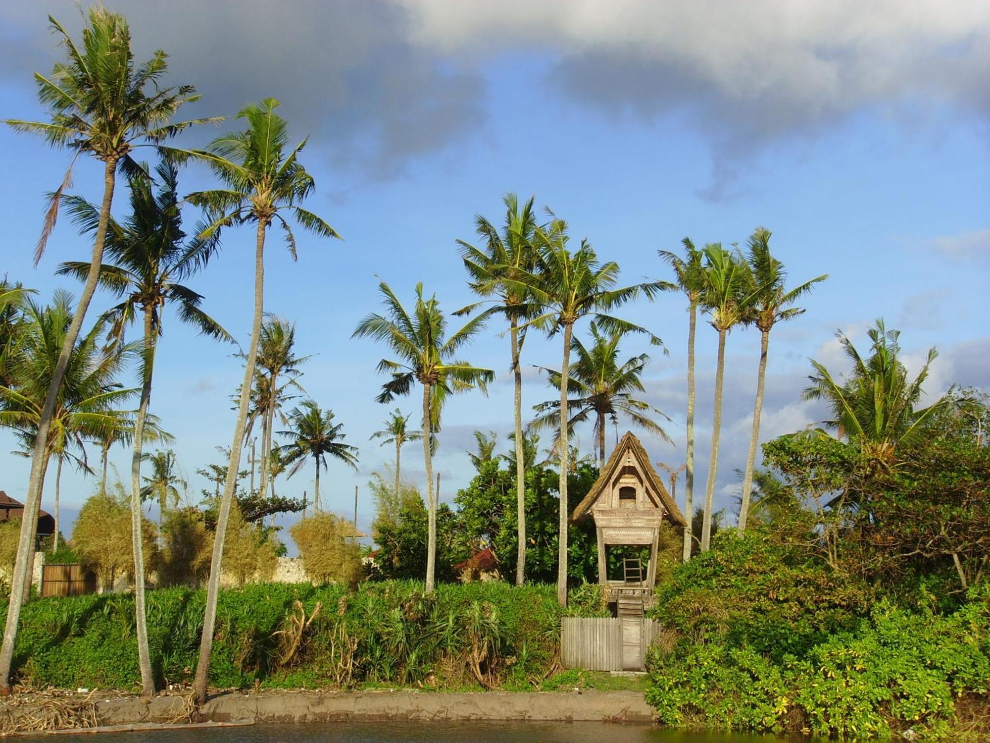Jonsen Homestay Canggu Eksteriør billede